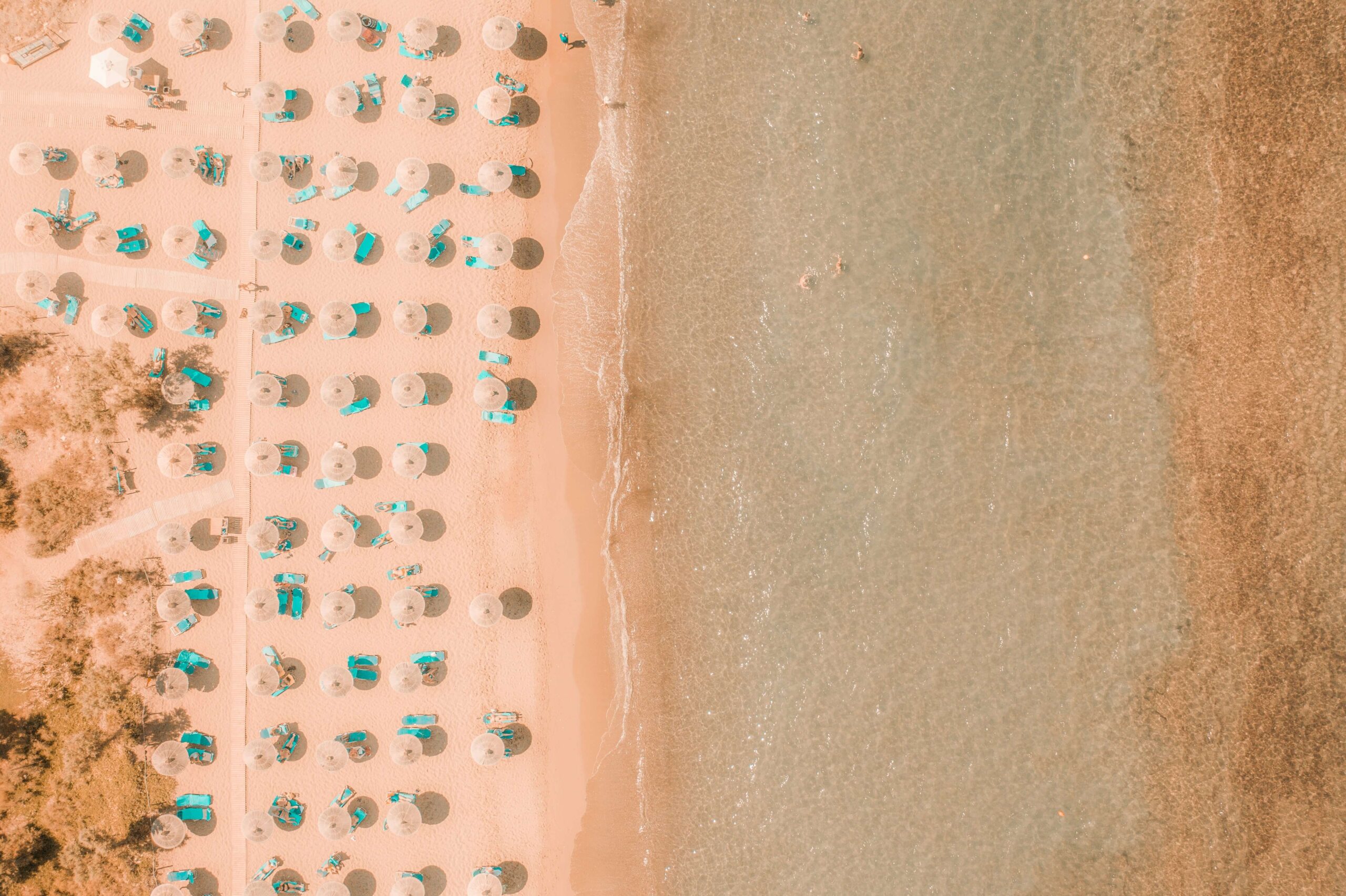 Widok z góry na brzeg morza i piaszczystą plażę, na której w równych odległościach ustawione są rzędy parasoli plażowych. Ilustracja do tekstu Prekampania