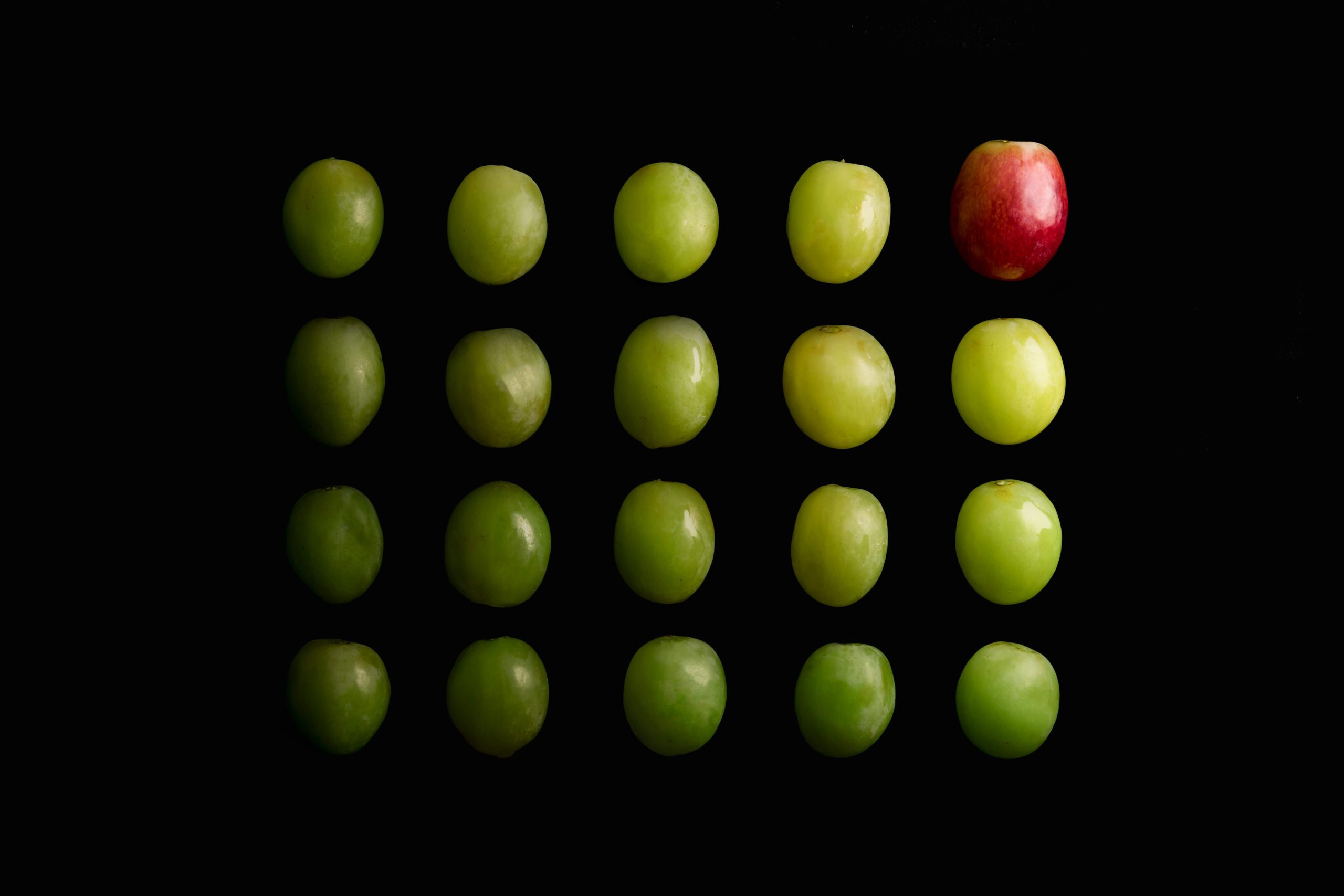 Ułożone w czterech rzędach zielone owoce, na końcu pierwszego czerwone jabłko. Ilustracja do tekstu Okładka e-booka