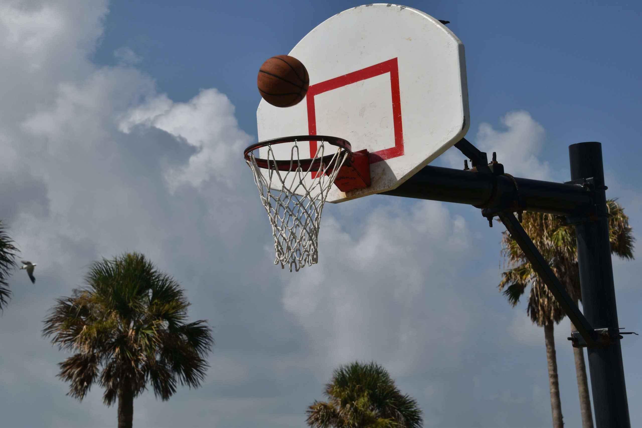 Piłka wpadająca do kosza Ilustracja do tekstu Co to jest konwersja